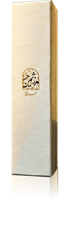 Group 1261152933